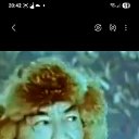 ���� �������, �����������, 55 ��� - ��������� 29 ��� 2026