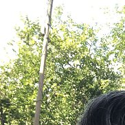 �����, 42 ����, �������