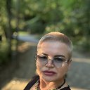 ���� �����, ������������, 50 ��� - ��������� 28 ������� 2026 � ������ ���� ����������