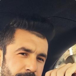 �����, 43 ����, ���������