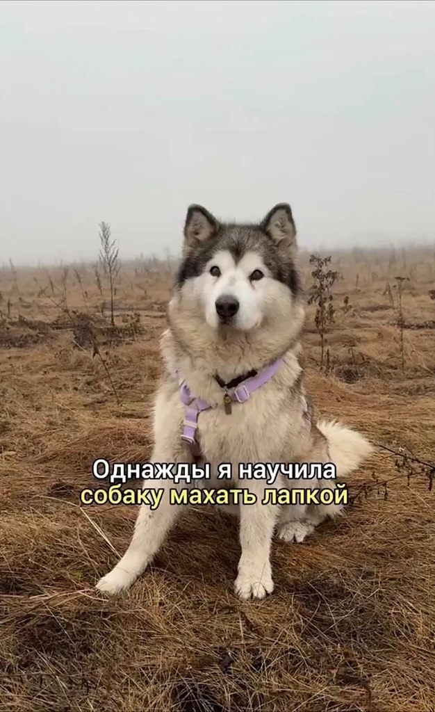 epee oa ea  aa o e pc. oa aa eo aa ao a aep  ...