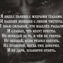 ���� Shell, ������ ��������, 40 ��� - ��������� 2 ���� 2024 � ������ ������ ��������