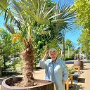 ���� ���������, ����������� - ��������� 22 ��� 2026