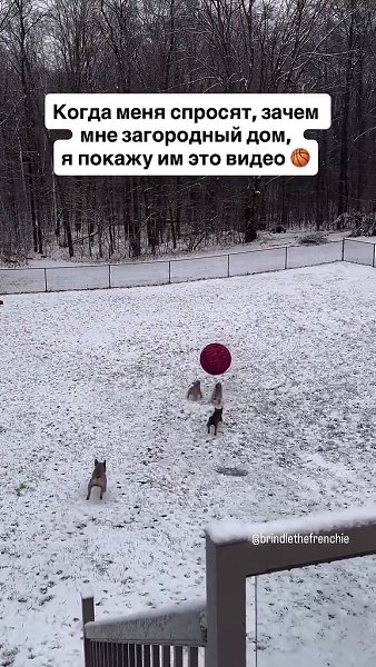 �������, ������ ��� ����� � ��������� ���������. - 2