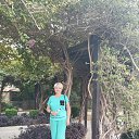 ���� �����, ������������, 66 ��� - ��������� 13 ������� 2025 � ������ ���� ����������