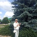 ���� �������, ������, 54 ���� - ��������� 6 ������� 2026 � ������ ���� ����������