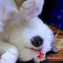 ���� Djon, ����, 52 ���� - ��������� 14 �������� 2024 � ������ ���� ����������