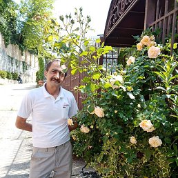 ������, ����, 64 ����