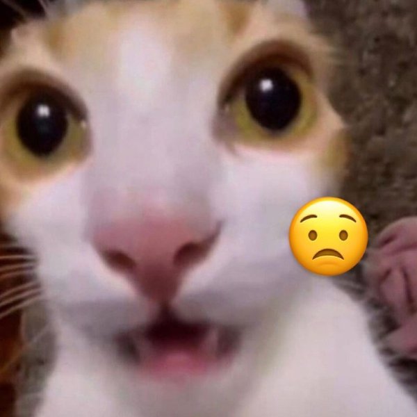 ����� ����� ������� ��? - 4