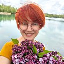   (), , 51  -  27  2025    