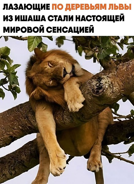�������� �� �������� ���� ������������� ���������� � ����� �������. ��� ���������� ������� ������� � ...