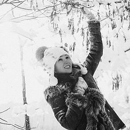 ����, ������