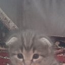 ���� ������, ������, 54 ���� - ��������� 27 ������� 2023 � ������ ���� ����������