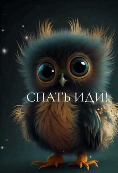 �� ����� ������! - 1 ���� 2026 � 23:39