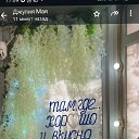 ���� �������, ����, 54 ���� - ��������� 8 ������� 2026