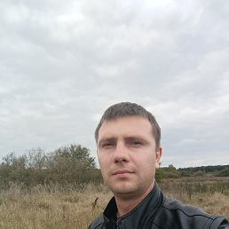 , 33, 