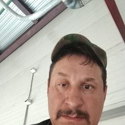 ����������, 53 ����, ������