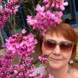 , 55, 