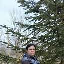 ���� �����, ������, 53 ���� - ��������� 28 ����� 2026 � ������ ���� ����������