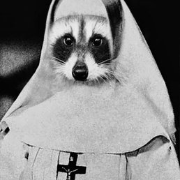 ������, ������ ��������, 48 ���