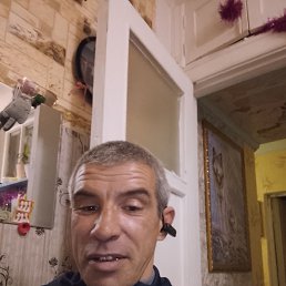 ��������, 41 ���, �����������