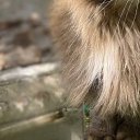 ���� �������, ��������, 30 ��� - ��������� 7 ������� 2024 � ������ ���� ����������