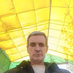 , 53, 