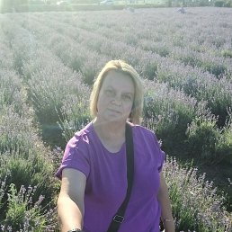 ���� �������, ���������, 48 ��� - ��������� 13 ���� 2025