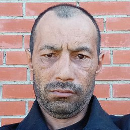 �������, ������, 40 ���