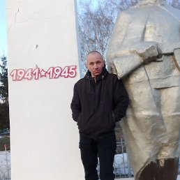 �����, 38 ���, �������