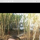 ���� ���������, ���������, 34 ���� - ��������� 26 ���� 2025 � ������ ���� ����������