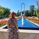 ���� �����, �������, 41 ��� - ��������� 2 ������� 2025 � ������ ���� ����������