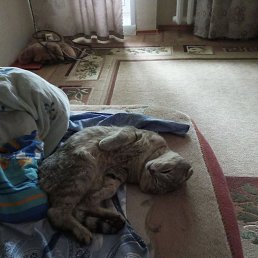 ���� ����� �����������, �����, 53 ���� - ��������� 25 ��� 2025