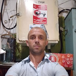 , 36, 