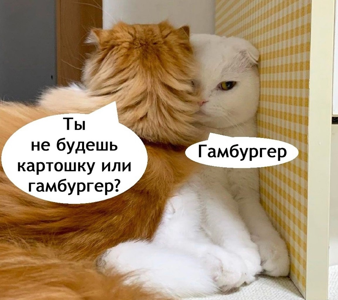 ������� �����, ������ �������� - 2