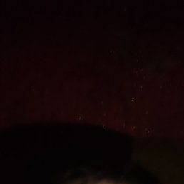 �����, ������, 36 ���