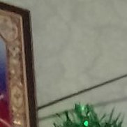 �������, 46 ���, ����