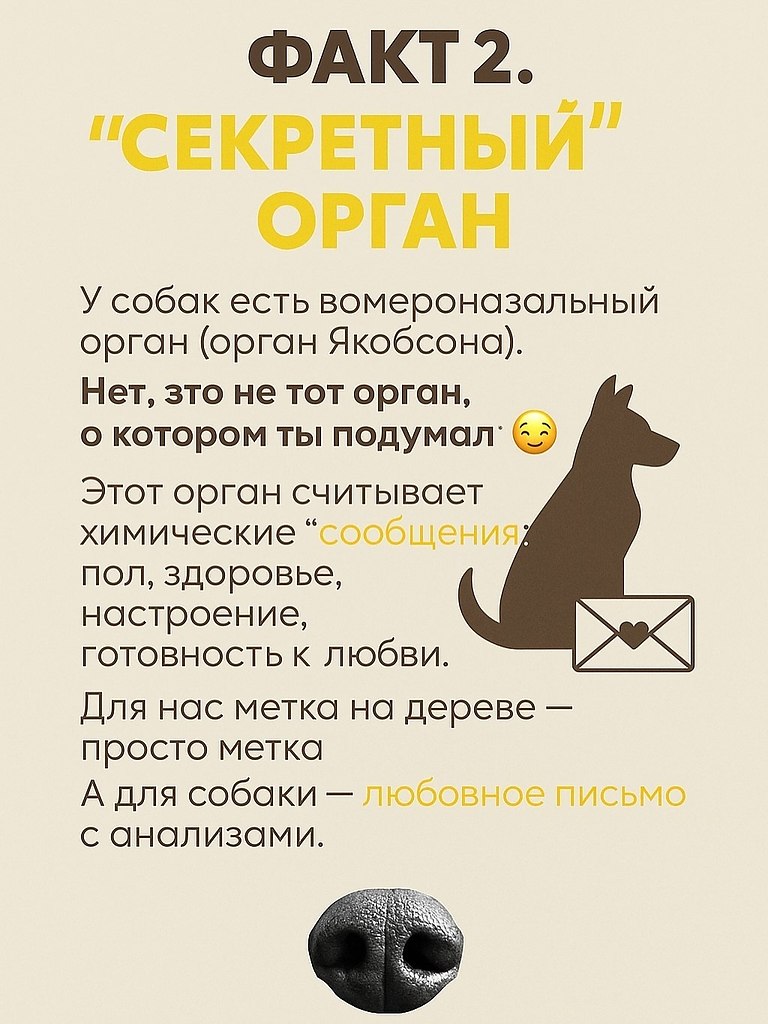       , Google       .    ... - 3