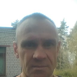 ���� ������ �������, �������, 46 ��� - ��������� 25 ����� 2025