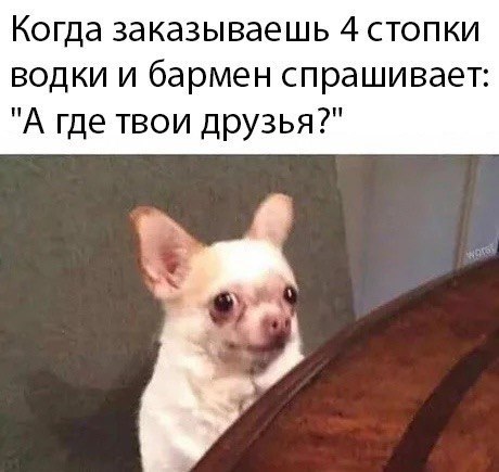    - 8  2024  22:42