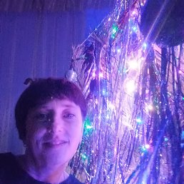 ���� ����, ����, 41 ��� - ��������� 3 ������ 2026