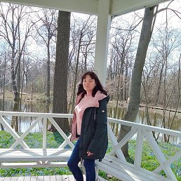 �����, 42 ����, �������