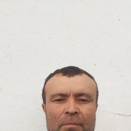 , 41, 