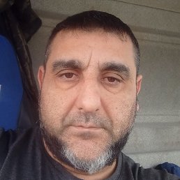 ������ ��������, �����������, 41 ���