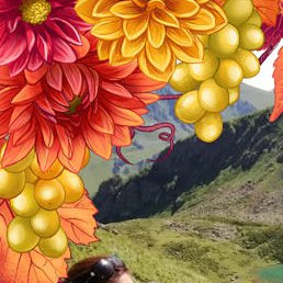 �������, ���������, 49 ���