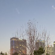 ����, 46 ���, ������