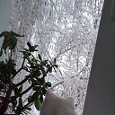 ���� ������, ��������, 72 ���� - ��������� 13 ������ 2025 � ������ ������ ��������