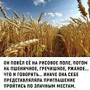 ���� ������, ��������, 54 ���� - ��������� 30 ���� 2024 � ������ ������ ��������