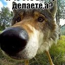 ���� ����, ������, 21 ��� - ��������� 23 ������ 2023 � ������ ������ ��������
