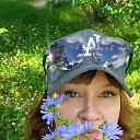 ���� Di, ������ - ��������� 14 ���� 2025 � ������ ���� ����������